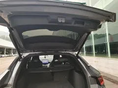 2023 BYD Song PLUS Champion EV 520km Premium — фото 19