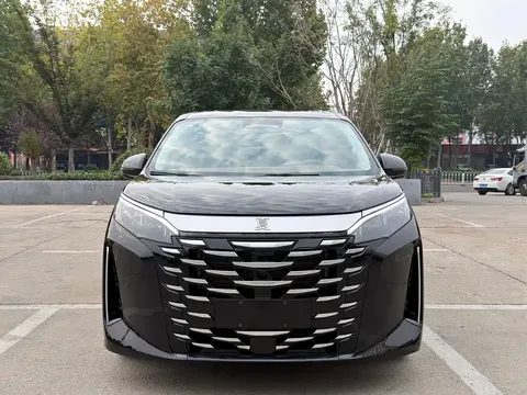 2025 BYD Xia PHEV DM-i 1.5T 100km Exceed