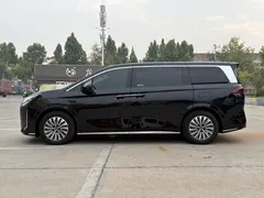 2025 BYD Xia PHEV DM-i 1.5T 100km Exceed, чёрный — фото 3