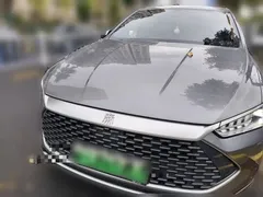 2024 BYD Qin PLUS Honor DM-i PHEV 55km Leading — фото 2