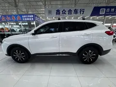 2023 Haval H6 1.5T AT Guochao Urban, белый — фото 11