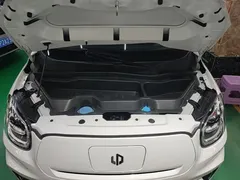 2024 Leapmotor T03 EV 310 Comfort, белый — фото 20