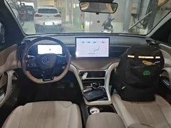 2024 BYD Song Pro Glory Edition DM-i PHEV 110km — фото 10