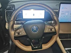 2024 BYD Song Pro Glory Edition DM-i PHEV 110km — фото 11