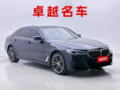 2021 BMW 5 Series 530Li Leading M Sport Package, синий — фото 6