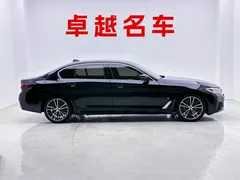 2021 BMW 5 Series 530Li Leading M Sport Package, синий — фото 7