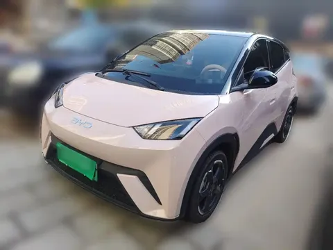 2024 BYD Seagull EV 305km Honor Freedom
