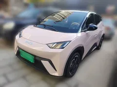 2024 BYD Seagull EV 305km Honor Freedom — фото 1