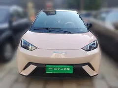 2024 BYD Seagull EV 305km Honor Freedom — фото 2