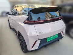 2024 BYD Seagull EV 305km Honor Freedom — фото 4