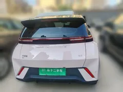 2024 BYD Seagull EV 305km Honor Freedom — фото 5