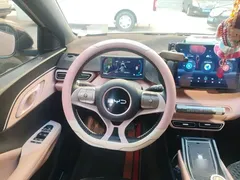 2024 BYD Seagull EV 305km Honor Freedom — фото 11