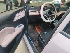 2024 BYD Seagull EV 305km Honor Freedom — фото 17