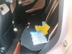 2024 BYD Seagull EV 305km Honor Freedom — фото 18