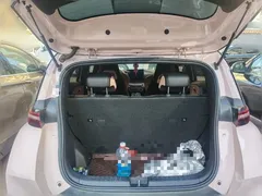 2024 BYD Seagull EV 305km Honor Freedom — фото 20
