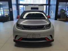 2021 BYD Dolphin EV 401km Knight Edition, белый — фото 3