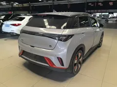 2021 BYD Dolphin EV 401km Knight Edition, белый — фото 7