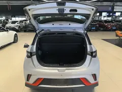 2021 BYD Dolphin EV 401km Knight Edition, белый — фото 19