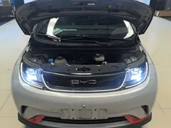 2021 BYD Dolphin EV 401km Knight Edition, белый — фото 20
