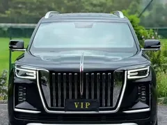 2022 Hongqi Guoyao 4.0T Premium Flagship 4 seats, чёрный — фото 1