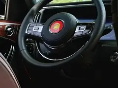 2022 Hongqi Guoyao 4.0T Premium Flagship 4 seats, чёрный — фото 9