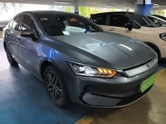 2024 BYD Qin PLUS EV 420km Leading — фото 4