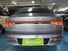 2024 BYD Qin PLUS EV 420km Leading — фото 6