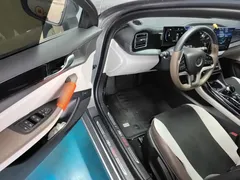2024 BYD Qin PLUS EV 420km Leading — фото 16