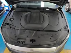 2024 BYD Qin PLUS EV 420km Leading — фото 20