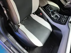 2024 BYD Qin PLUS EV 420km Leading — фото 25
