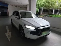 2023 BYD Song Pro Champion DM-i PHEV 71km, белый — фото 4