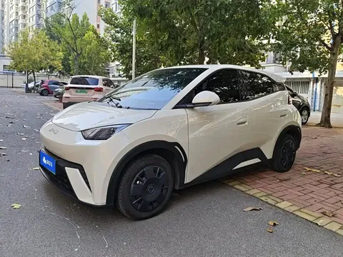 2025 BYD Seagull 305km Vitality