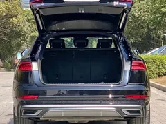 2021 Audi Q8 55 TFSI Sport, чёрный — фото 16