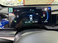 2024 BYD Qin PLUS Honor DM-i PHEV 55km Leading — фото 11