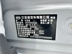 2022 BYD Yuan PLUS 510km Flagship EV — фото 11