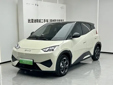 2025 BYD Seagull Smart Driving 405km Freedom