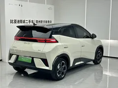 2025 BYD Seagull Smart Driving 405km Freedom, белый — фото 4