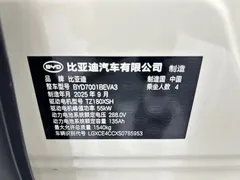 2025 BYD Seagull Smart Driving 405km Freedom, белый — фото 11