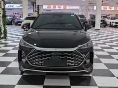 2025 BYD Tang DM-i PHEV 115km Premium, чёрный — фото 3