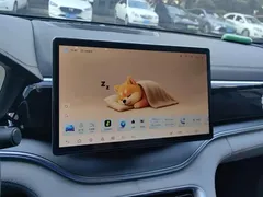 2025 BYD Song PLUS DM-i PHEV 112km Premium — фото 13