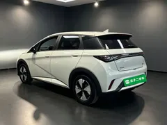2023 BYD Dolphin 420km Fashion, белый — фото 5