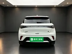 2023 BYD Dolphin 420km Fashion, белый — фото 6
