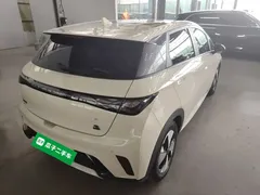 2023 BYD Dolphin 420km Fashion, белый — фото 7