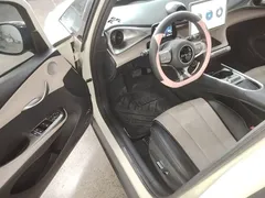 2023 BYD Dolphin 420km Fashion, белый — фото 15