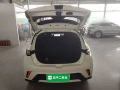 2023 BYD Dolphin 420km Fashion, белый — фото 19
