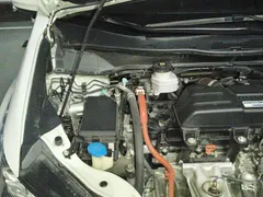 2021 Honda Odyssey 2.0L Premium, белый — фото 20