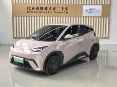 2024 BYD Seagull Honor 305km Vitality — фото 1