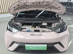 2024 BYD Seagull Honor 305km Vitality — фото 17