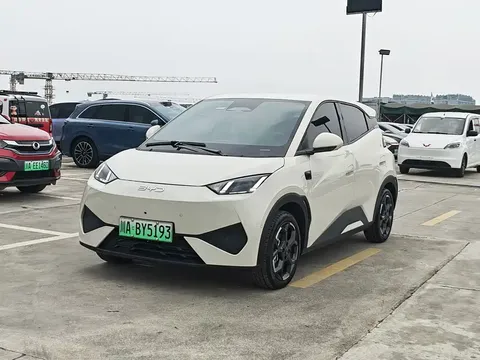 2025 BYD Seagull Smart Driving 305km Freedom