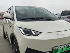 2025 BYD Seagull Smart Driving 305km Freedom, белый — фото 9